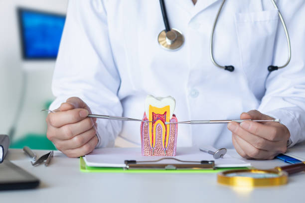 Best Emergency Root Canal Treatment in Highland Springs, VA